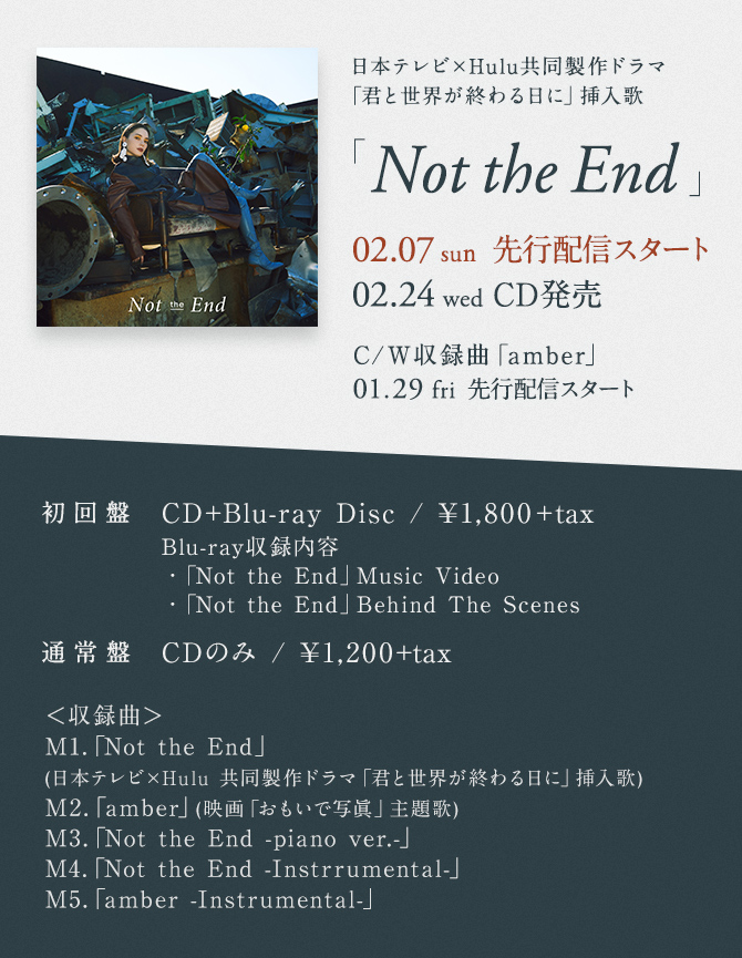 The end 安田 レイ not